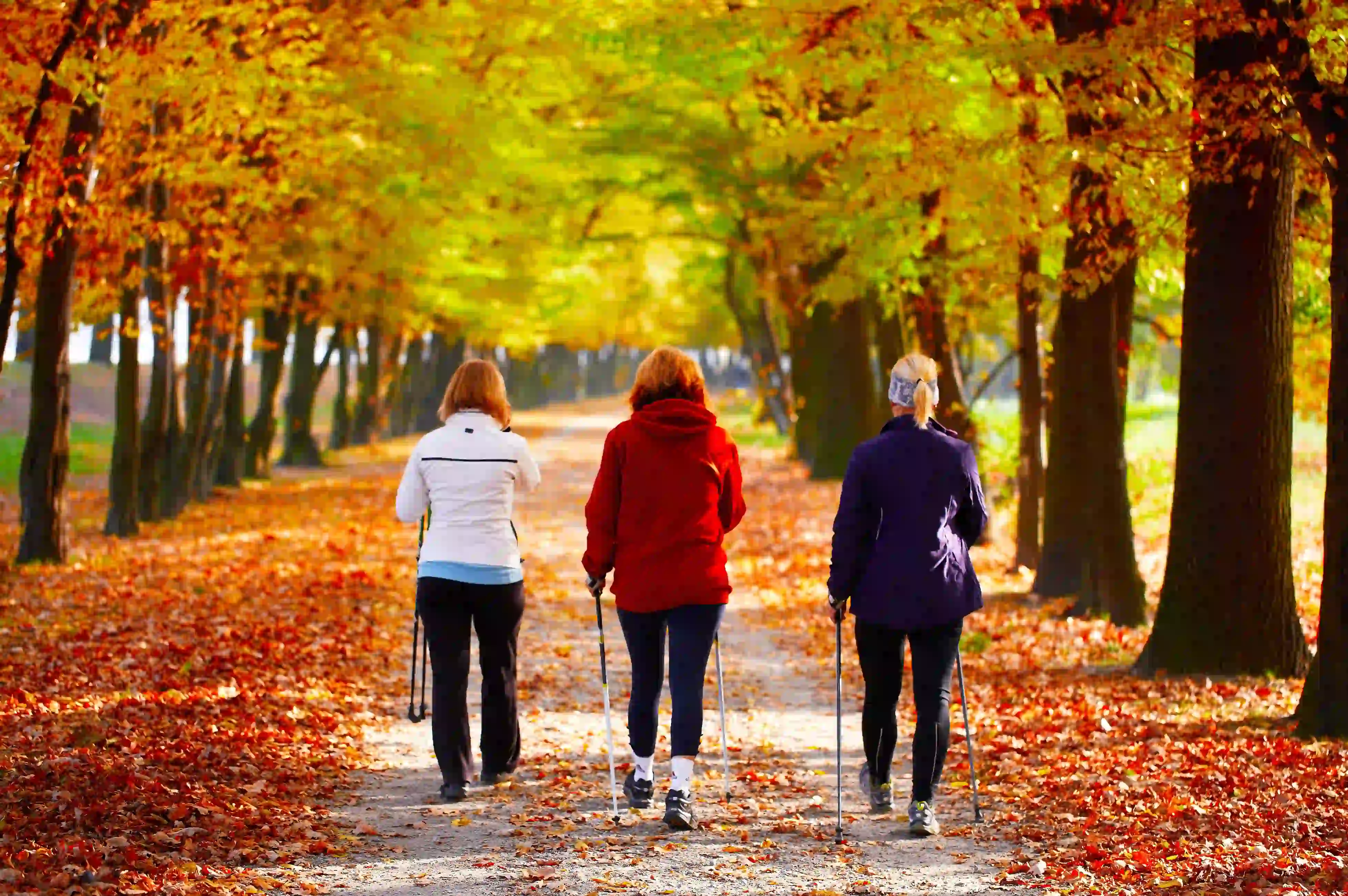 3 women hiking during fall